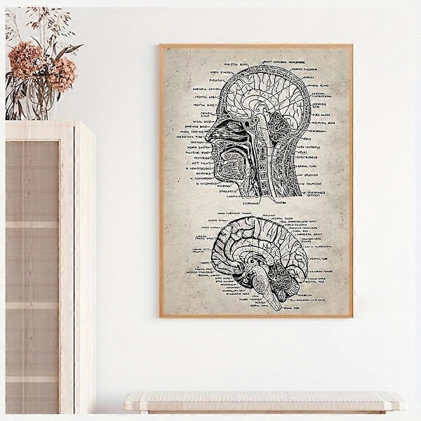 1kpl Neurotiede Ihmisen Anatomia Kangasmaalaus - Retro Seinätaide Kylpyhuoneeseen, Makuuhuoneeseen, Toimistoon, Olohuoneeseen - Kouluttava ja Koristeellinen - Ei Kehystä Tarvita