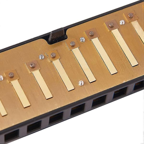 10 Huller 20 Harmonika Blues Deluxe Harmonika Begynder C Harmonika - Sort