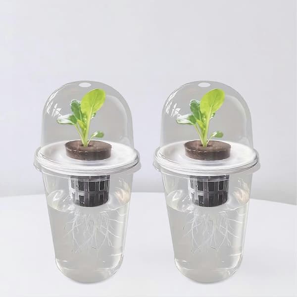 1/10 stk. hydroponisk kop med kuppel til kimplanter og planteformering 2pcs
