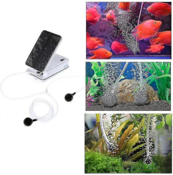 Solcellsdriven Luftpump, Syresättare och Dammluftare Kit