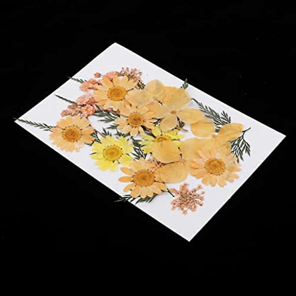 33 stk. Assorterede ægte pressede tørrede blomster, pressede blade til harpiks smykker, vedhæng, etuier, kunst og håndværk, DIY bogmærker, kunst blomsterdekoration, orange