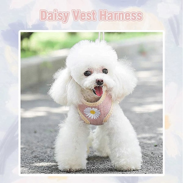 PETCARE Pieni koiranvaljassetti taluttimella ja pusseilla, söpö Daisy ei vedä koiranvaljaita pienille koirille kissoille, pehmeä hengittävä verkko pentukoira liivivaljaat (Pinkki, S