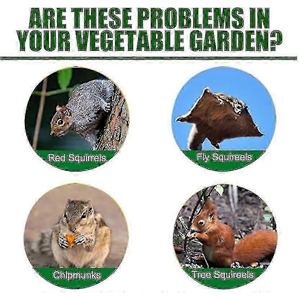 Ekorreavvisande 12-pack, Chipmunkavvisande Utomhus, Naturligt Ekorreavvisande Mynta Ekorreavskräckande För Fågelmatare/trädgård/vind, Säkert Runtomkring