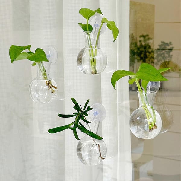 Planteformering Kit – Glaspære med Sugekop & Transparent – til Hjem & Kontor 2pcs