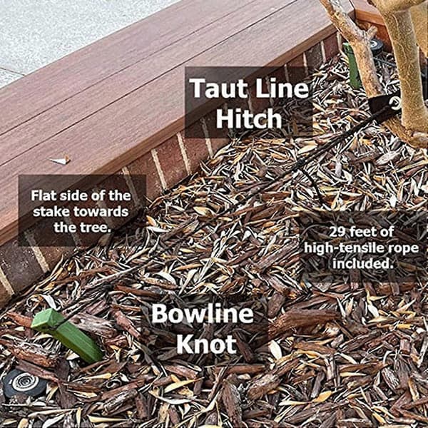 Trädgårdsstöd Kit Växtpinnar Stöd Trädgårdstillbehör Trädgårdsstöd Ankarfästen för Träd, grön