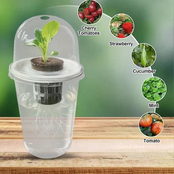 1/10 stk. hydroponisk kop med kuppel til kimplanter og planteformering 2pcs