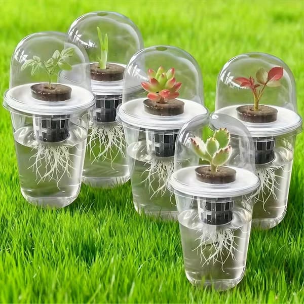 1/10 stk. hydroponisk kop med kuppel til kimplanter og planteformering 6pcs
