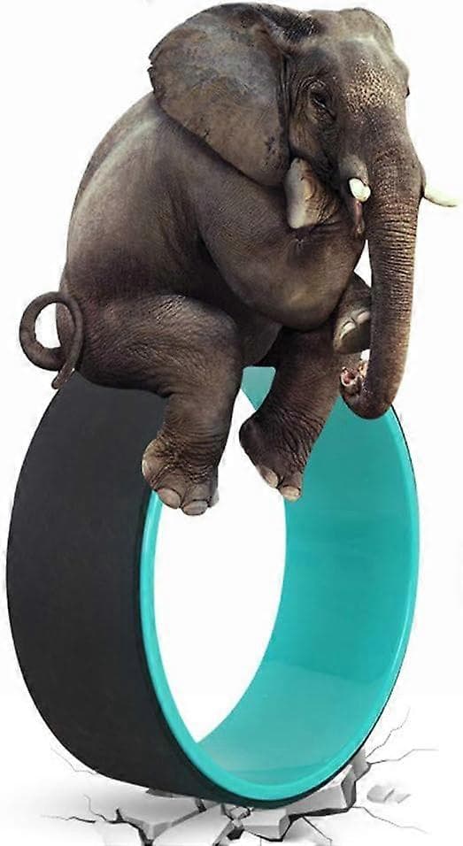 Yogahjul för stretching och flexibilitet, djup ryggroller för smärtlindring, grönsvart