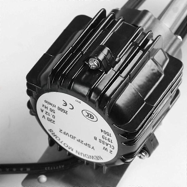 NEWDUN MOTORS Vattenpump YSP2P JDVF2 YSP2PJDVF2 2W Input 220V för Ismaskin