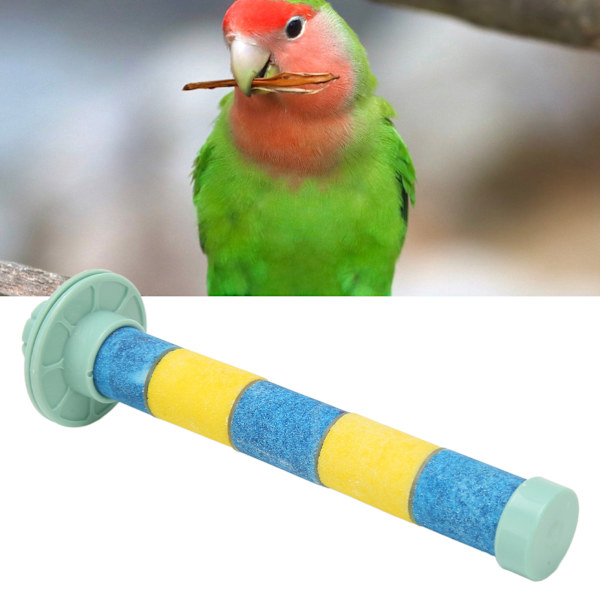 Papukaija Kvartssihiekka Orsi Paw Nokka Hionta Lemmikkilintu Häkki Jalusta Linnun Papukaija Budgies Parakeet Cockatiels Sininen Keltainen