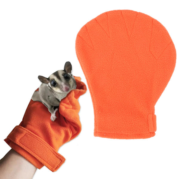 Sukker Glider Bonding Vante Bid Modstand Små Dyr Bonding Vante til Små Dyr Sukker Glider Pindsvin Orange
