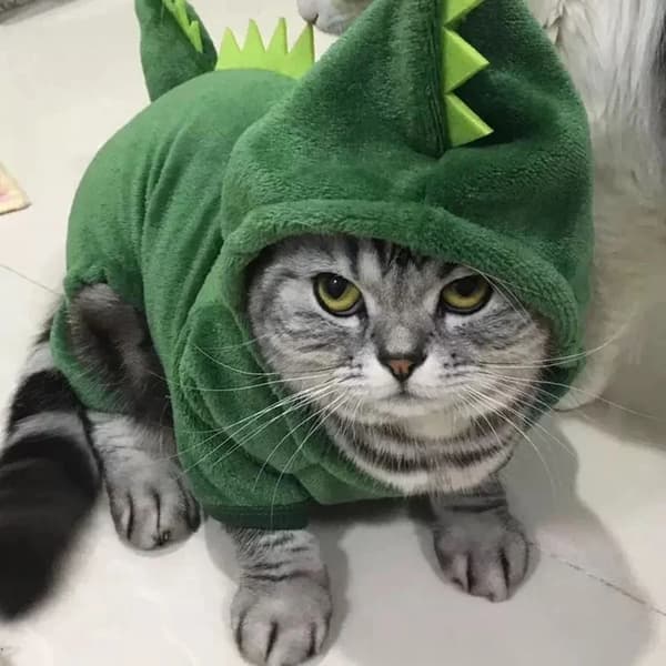 Dinosaurkostume til katte og små hunde til Halloween, varm fleecefrakke, afslappet stil til efterår/vinter M Verde