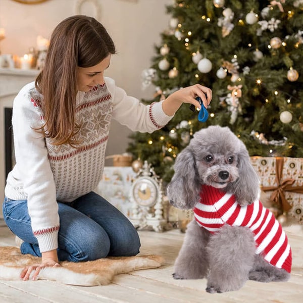 Hund jultröjor för små hundar - Small Dog Christmas Swea
