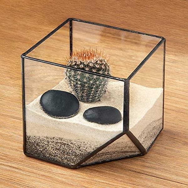 Ultra 10x10x10 neliömäinen kirkas lasinen terraarioistutusastia