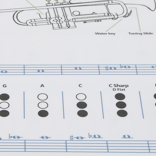 Trompet Akkorddiagram Fingersetting Noter Musikk Instrument Referanseguide for Hjem Klasse Liten