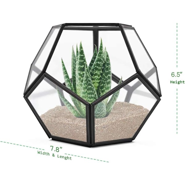 Geometrisk terrarium för bordsskiva, 7,8 x 7,8 x 6,5 tum metall med