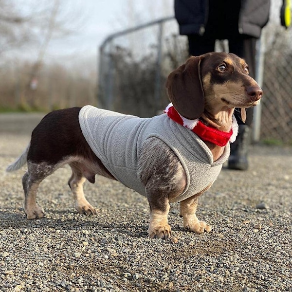 Varm pullover fleece hundetrøje  snor - vinter