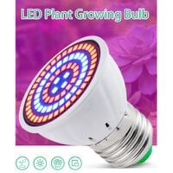 AC220V Full Spectrum LED-växtlampa E14 med 60 LED-växtlampa för hydroponisk växthus inomhusväxter