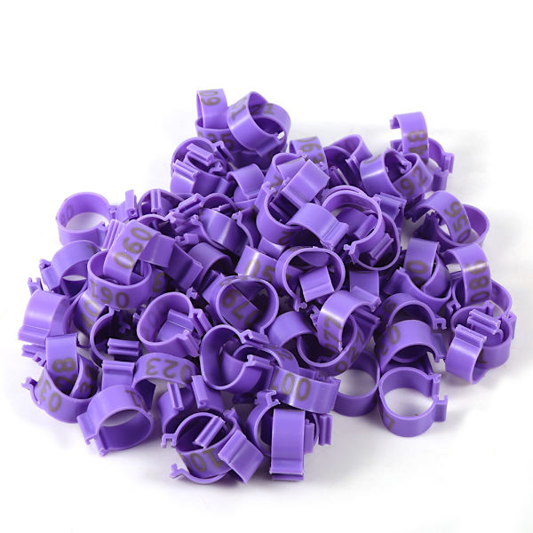 100 KPL / Pussi 16MM 001-100 Numeroitu Muovi Siipikarjan Kanojen Ankat Hanhi Jalkarenkaat Renkaat (Violetti)