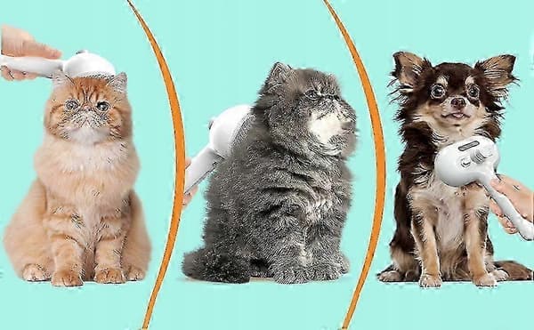 x Djur Katt Hund Ångborste Elektrisk För Hårvård
