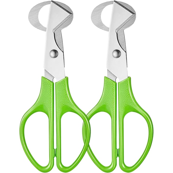 2PCS Vaktäggsax, Rostfritt Stål Vaktäggsax