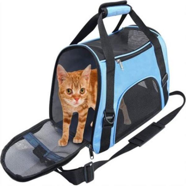 Blå kattbur i 43x28x19cm