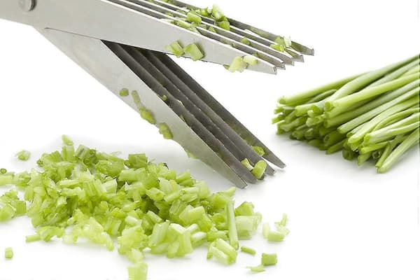Urte-saks Multifunktionel Køkkenhakkesaks 5 Blade Og Låg Rustfrit Stål