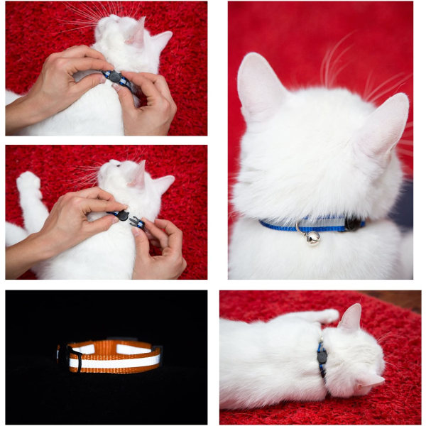 Reflekterende kattehalsbånd med klokke, sæt med 6 stk