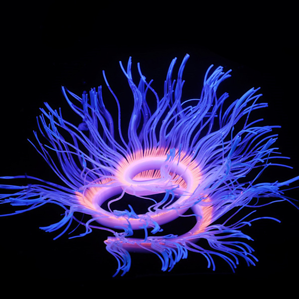 Akvariedekorationer Hav Anemone Akvarium Silikone Kunstige Glødende Plante Ornamenter SBlå