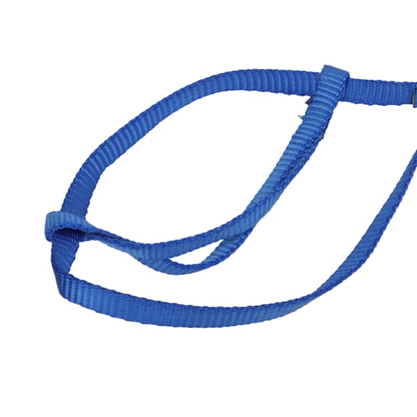 Papegoja sele koppel justerbar fågel flygande sele dragrep med krok för fåglar papegojorRoyalblue XS