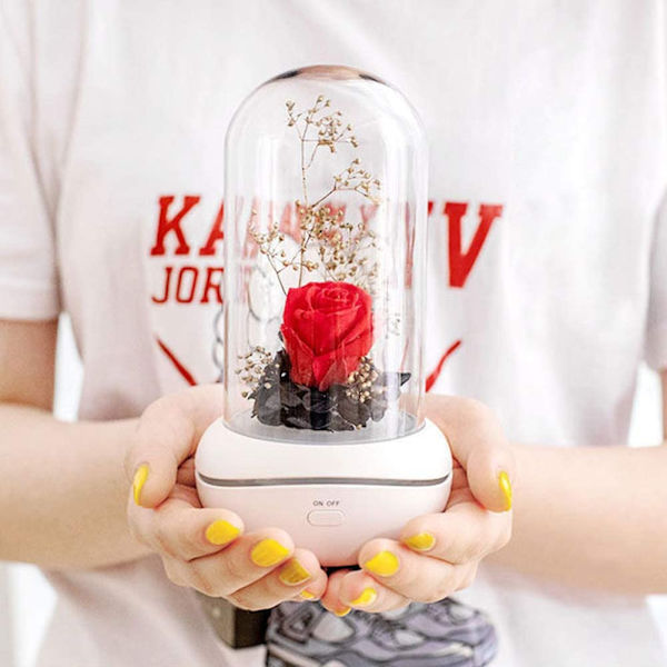 Bevarad doft, bärbar lampa, uppladdningsbar, USB-aromdiffusor