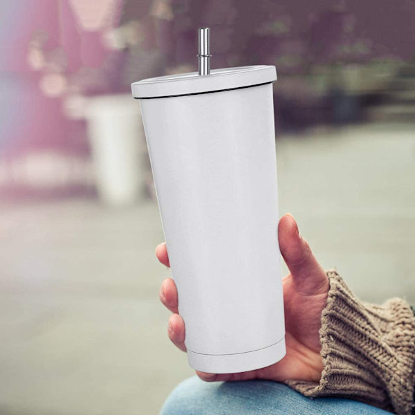 Aiboria 750ml / 25oz Rostfritt stål Resmugg med sugrör och lock