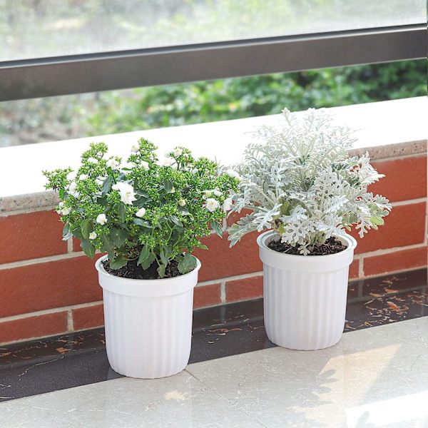 T4U Φ18CM Självbevattnande Blomkruka Örter Kruka Vit
