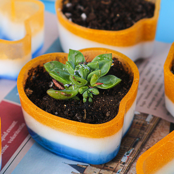 DIY-hartsform för växter, DIY-blomkruksformar, planteringskruksform,