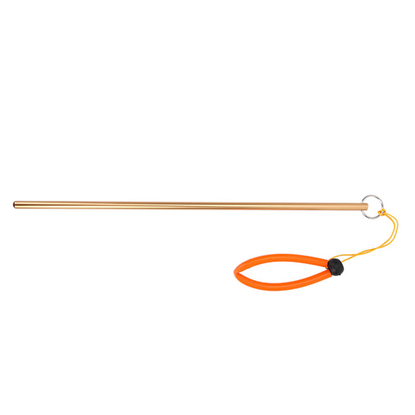 Scuba Diving Aluminiumlegering Tickle Pointer Stick med Måling og Lanyard (Gylden)