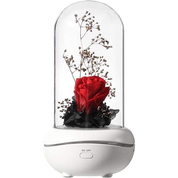 Bevarad doft, bärbar lampa, uppladdningsbar, USB-aromdiffusor
