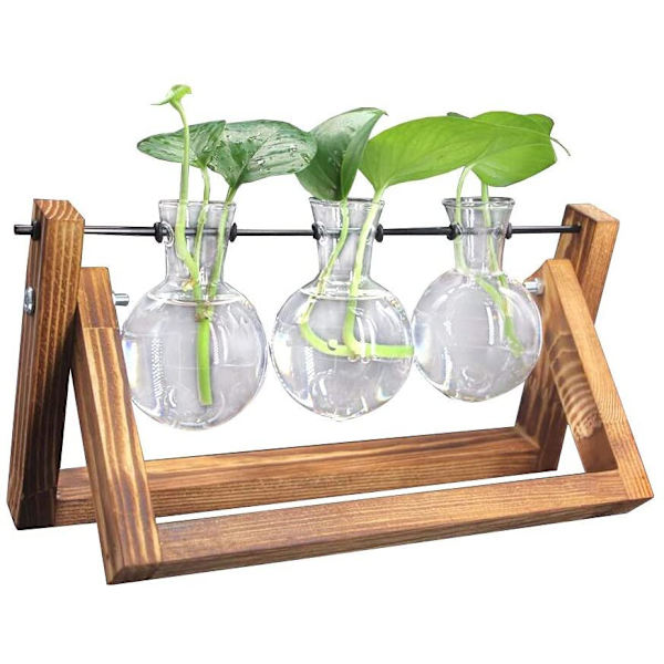 Dekorativt trästativ med hydroponisk glasvas, hängande vas, blomvas