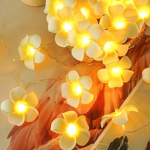 LED-slinga med konstgjorda plumeriablommor - Hawaiiansk skumfran