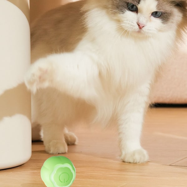 Smart katt leksak boll interaktivt bitresistent lindra tristess automatisk rörlig rullande boll för katt kattunge gräsgrön