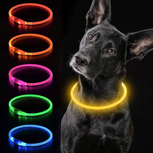 LED-halsband för hundar USB uppladdningsbart vattentätt halsband för djur