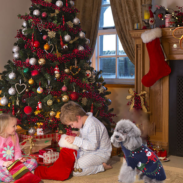 Juletrøjer til kæledyr Vinter Xmas Tøj Klassisk Varm