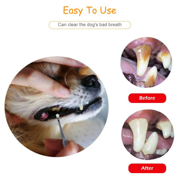 Professionella tandvårdsverktyg, tandavskiljare och tandskrapa för hundar