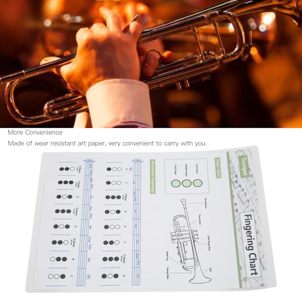 Trompet Akkorddiagram Fingersetting Noter Musikk Instrument Referanseguide for Hjem Klasse Liten