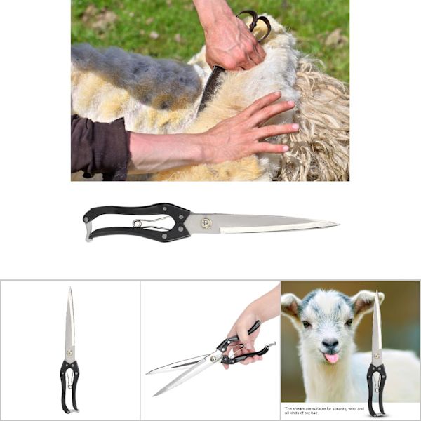 Handskjuvar för får, get, häst, kanin, husdjur, klippning av hår, ull, allround, förlängda saxar (typ 3)