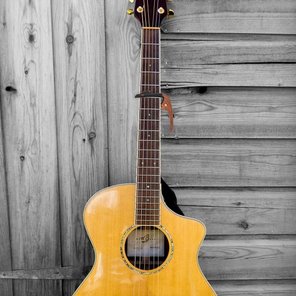 Gitarr Capo, 2in1 Flamingos Zink Metall Capo för Akustisk och Elektrisk Gitarr, Ukulele, Mandolin, Banjo, Gitarraccessoarer.