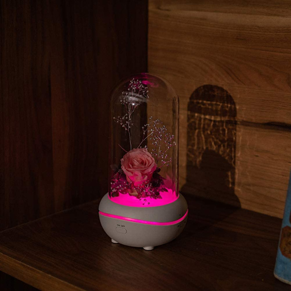 Bevarad doft, Bärbar Lampa, Uppladdningsbar, USB Aroma Diff Rose