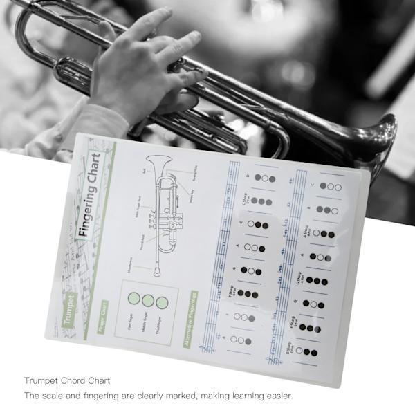 Trompet Akkorddiagram Fingersetting Noter Musikk Instrument Referanseguide for Hjem Klasse Liten