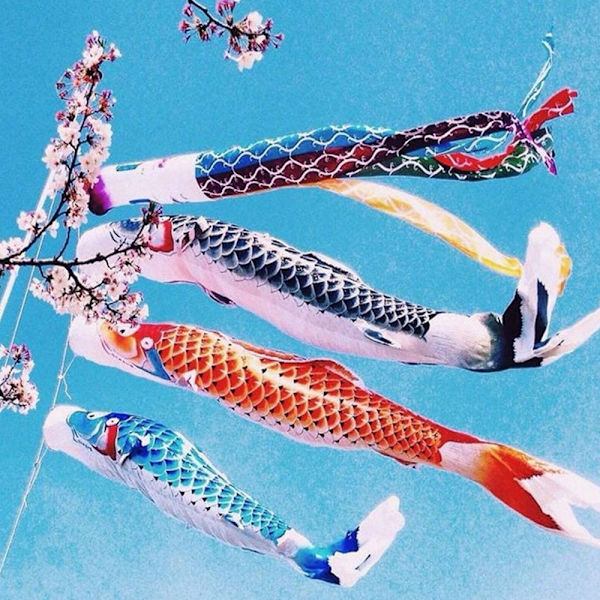 5 stk. japansk karpe vindstrømpe streamer fisk flag drage