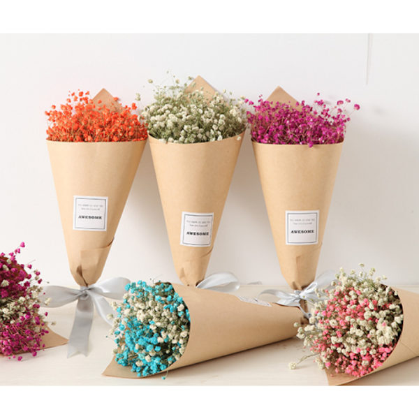 Förtrollande blomsterelegans, gåva till kvinnor som tillför en touch av romantik till ditt liv med bevarade naturliga torkade blommor