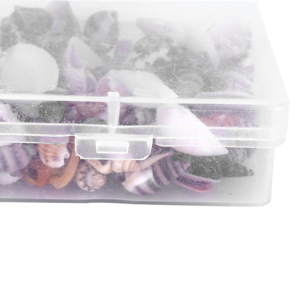 Smyckeshantverk DIY Snäcksjösnigel Set Naturligt Snäckskal Conch Bröllop Heminredning